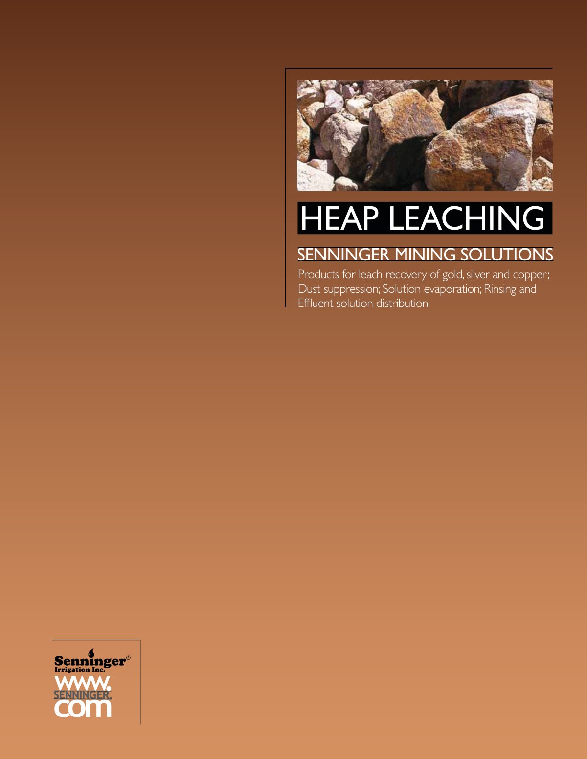 First page of Heap Leaching Brochure[1]