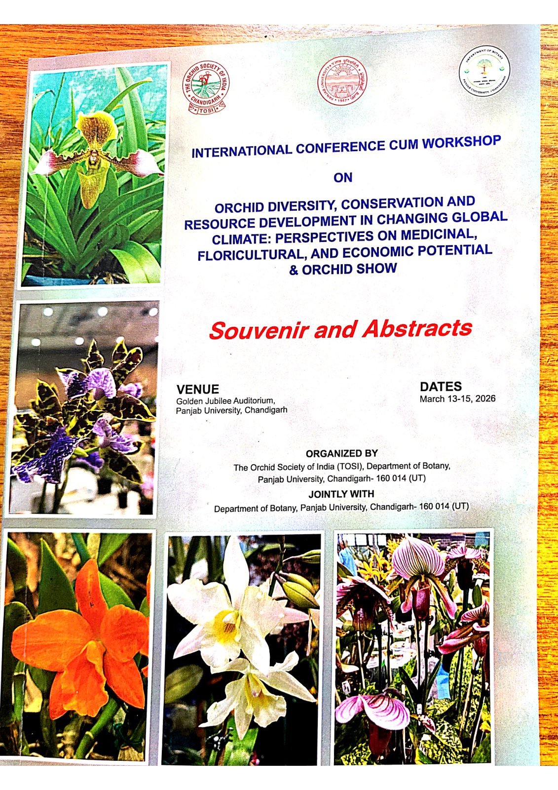First page of ProductionTechnologyofSomeCommercialOrchids