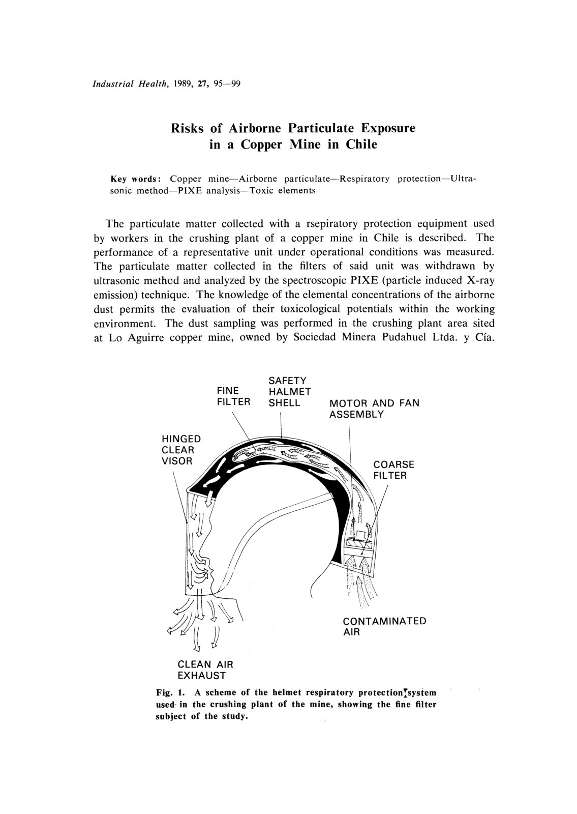 First page of Risks of Airborne Particulate Exposure in a Copper Mine in Chile