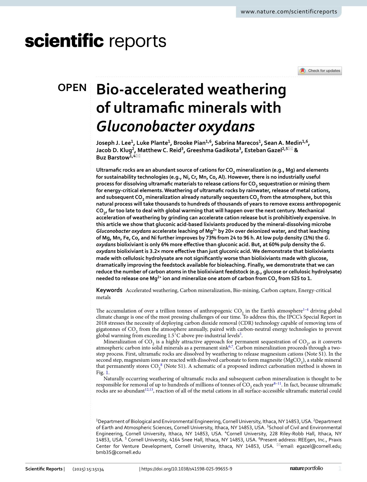 First page of 2025   Lee   Bioleaching of ultramafic minerals with Gluconobacter oxydans