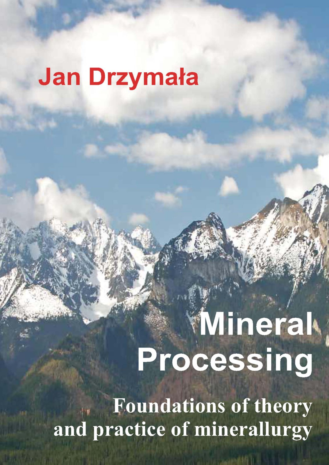 First page of Mineral Processing Foundations of theory and practice of minerallurgy