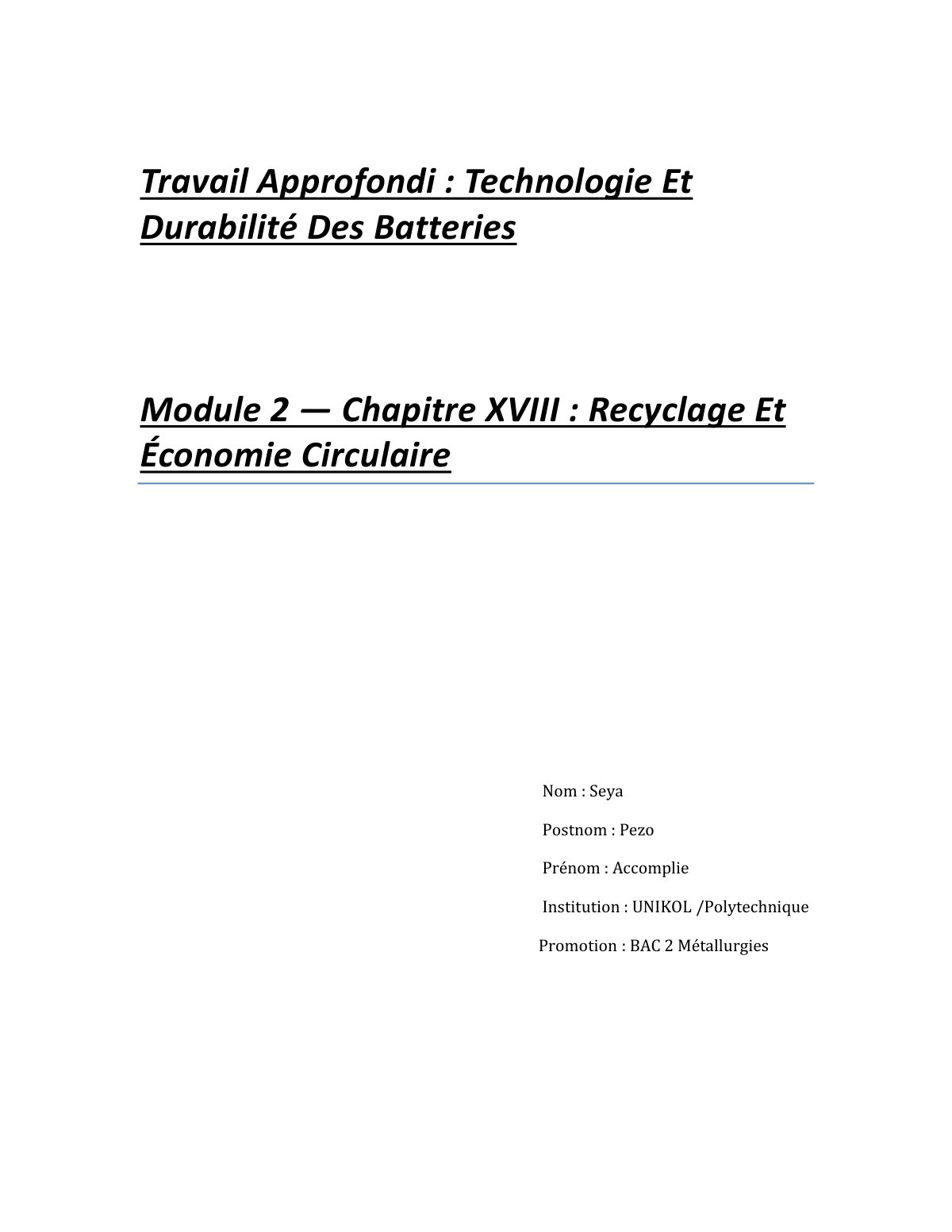 First page of Travail Approfondi : Technologie Et Durabilité Des Batteries