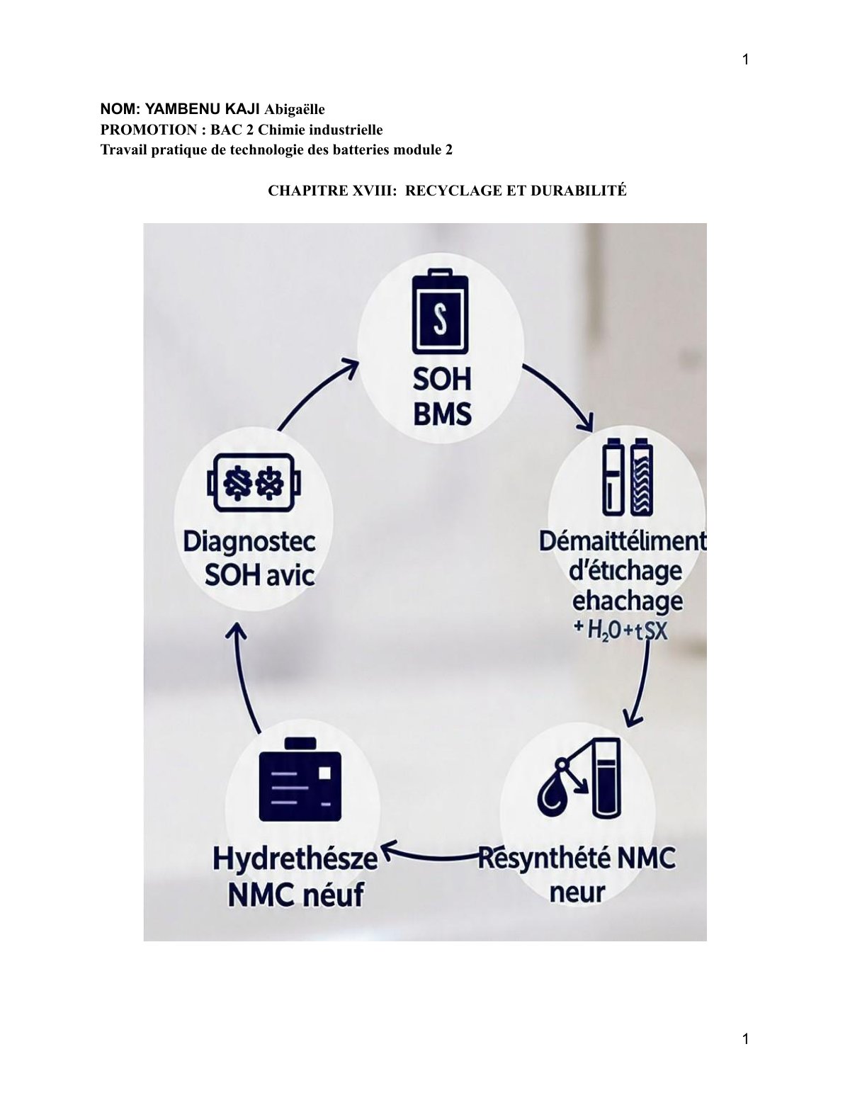 First page of Recyclage et durabilité des batteries