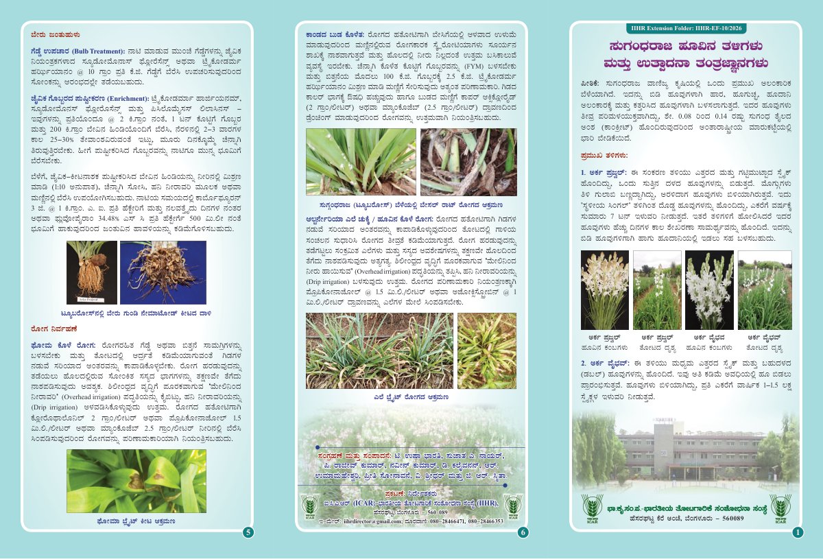 First page of TuberoseFlyerKannadaFinalPrint14 03 2026