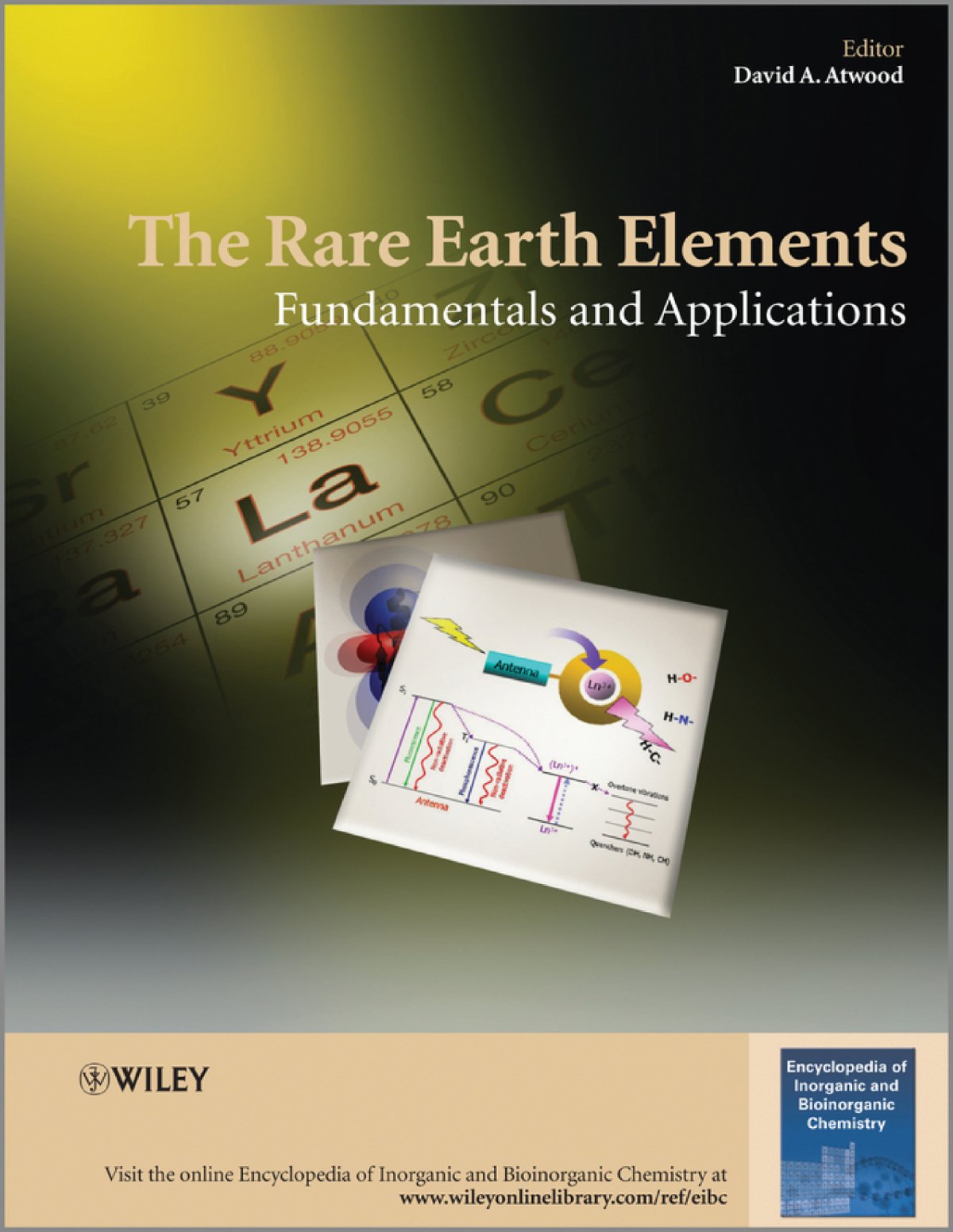 First page of The Rare Earth Elements   Fundamentals and Applications    