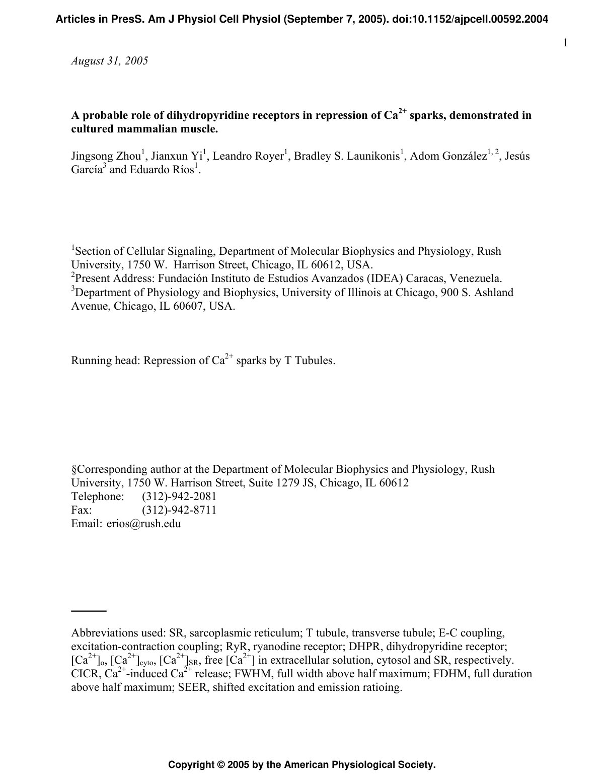 First page of A probable role of dihydropyridine receptors in repression of Ca2+ sparks, demonstrated in cultured mammalian muscle.