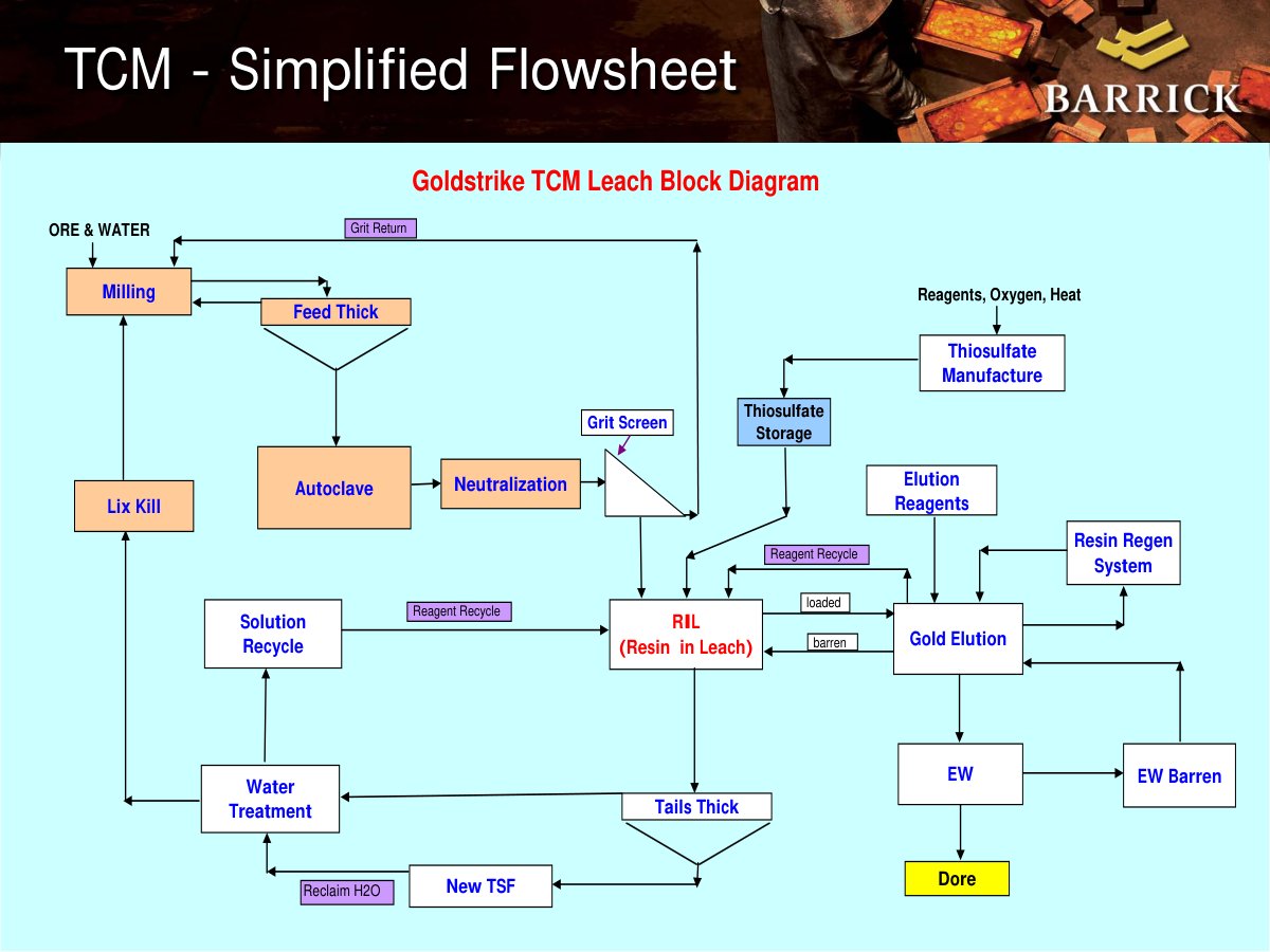 First page of Barrick Goldstrike TCM Flowchart