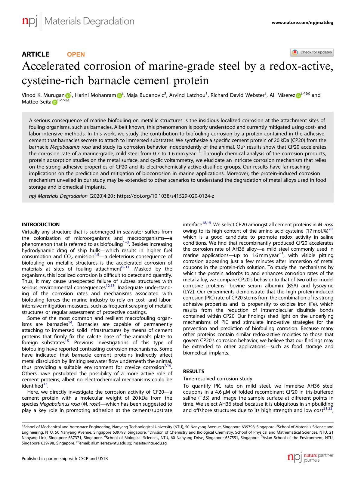 First page of Accelerated corrosion of marine-grade steel by a redox-active, cysteine-rich barnacle cement protein