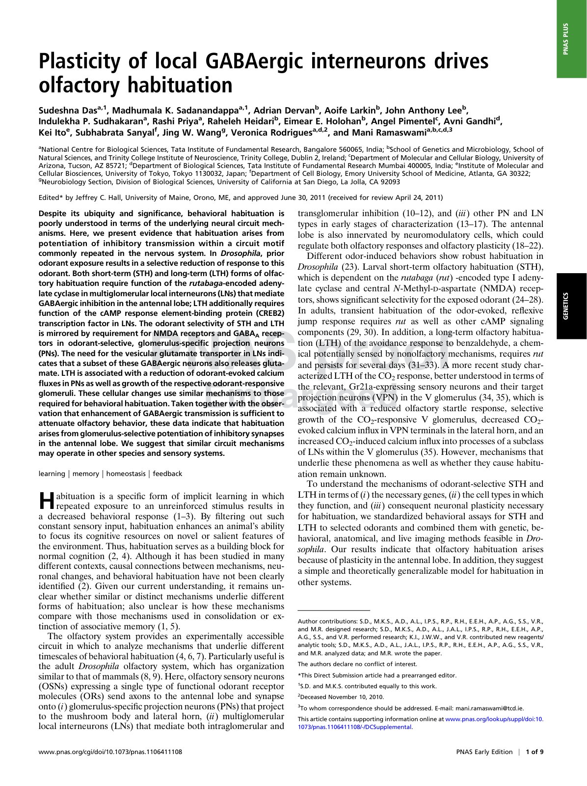 First page of Plasticity of local GABAergic interneuro