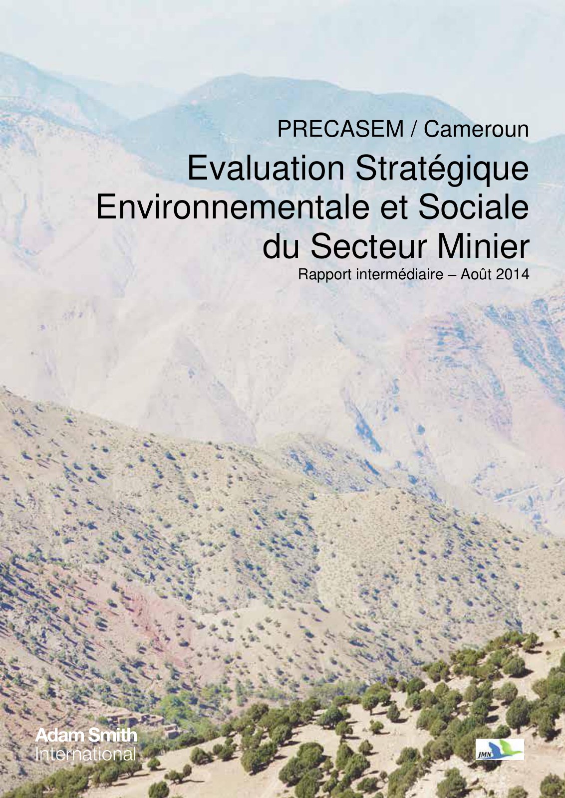 First page of Evaluation Stratégique Environnementale et Sociale du Secteur Minier Rapport intermédiaire
