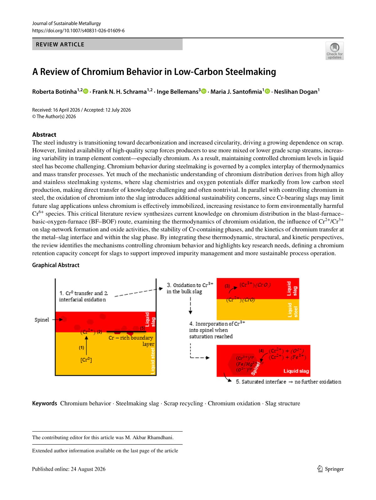 First page of 2026 Botinha Chromium Low Carbon Steelmaking Review