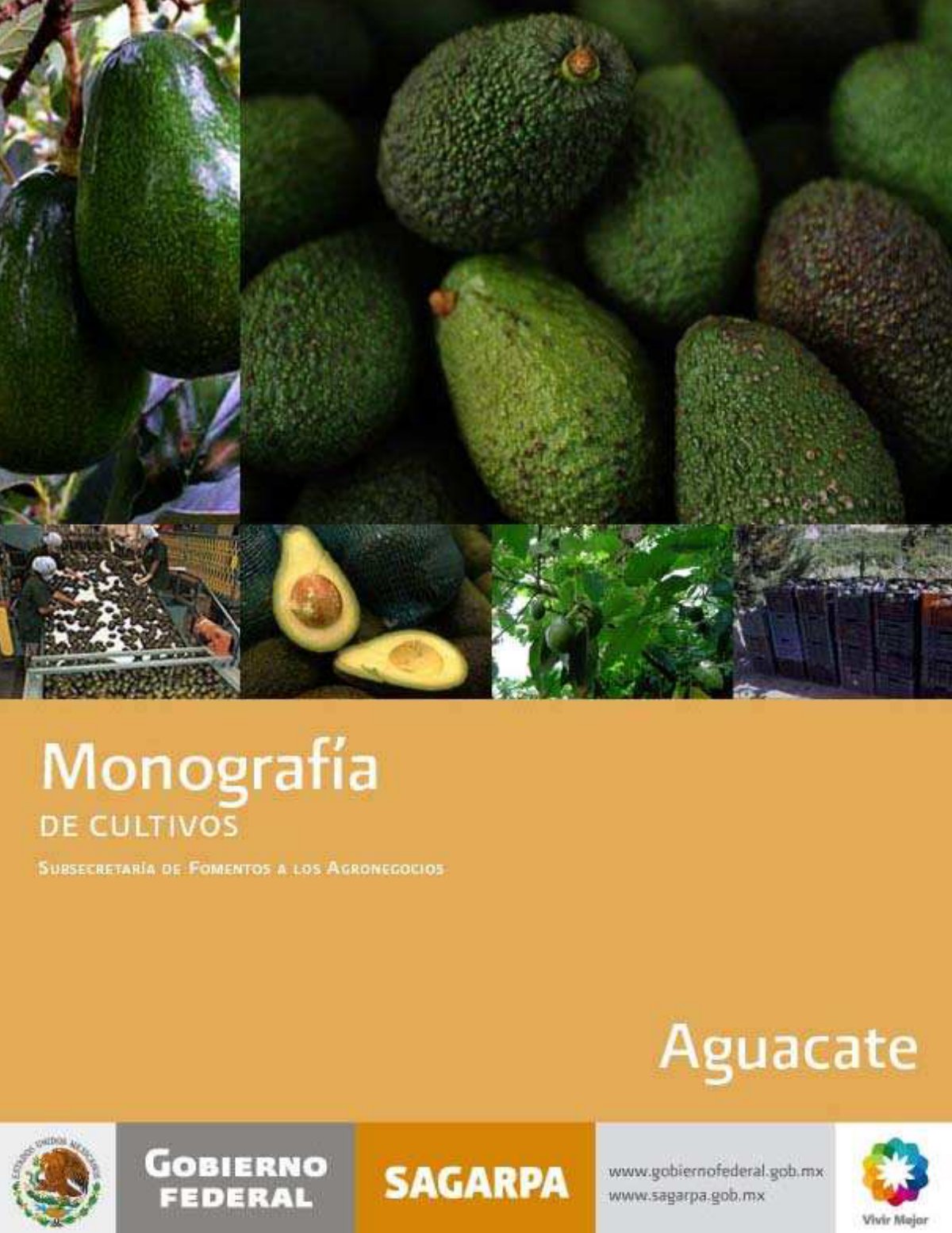 First page of Monografia del aguacate